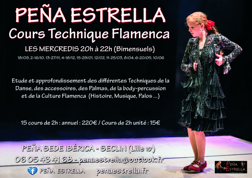 Flamenco Technique lille danse cours Nord Pas de Calais Picardie Hauts de France Estrella