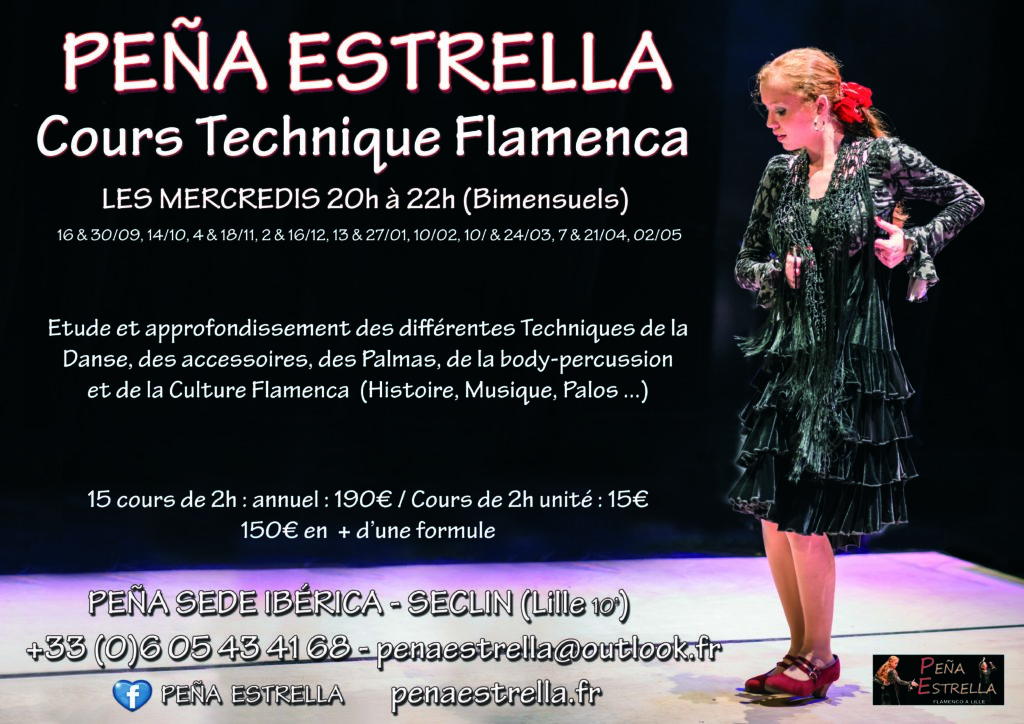 cours flamenco Lille Estrella Technique