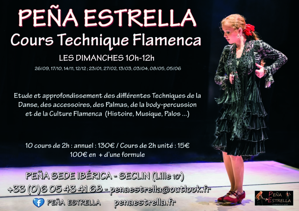 flamenco lille cours de danse peña estrella technique