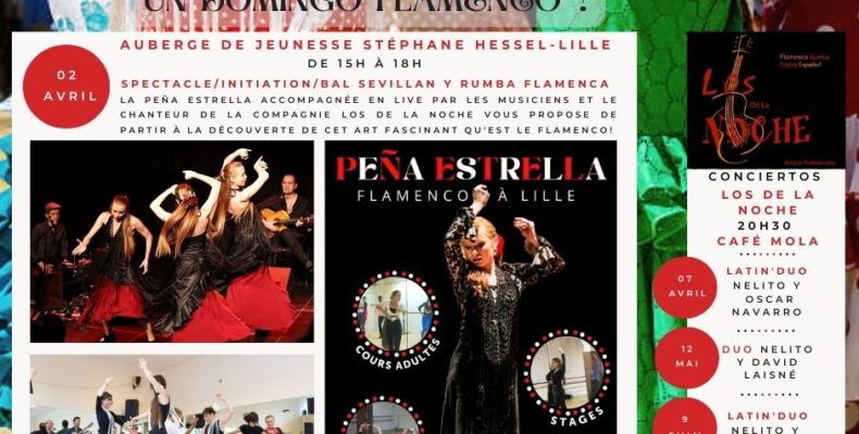 Flamenco Lille ecole Hauts de France Nord pas de Calais Picardie Atistes Concerts