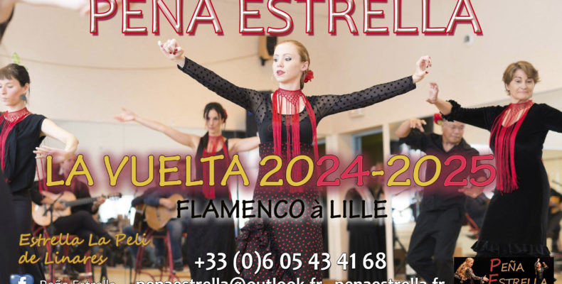 Cours Flamenco Lille Nord Hauts de France Estrella